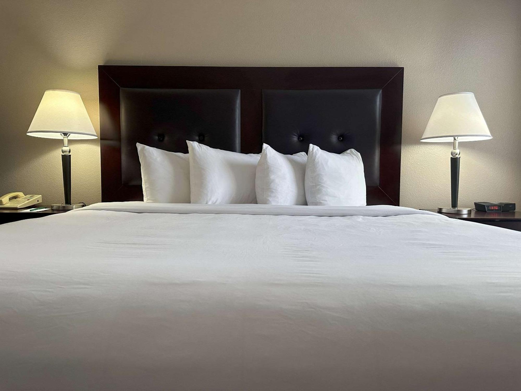 Quality Inn & Suites ايفرت المظهر الخارجي الصورة