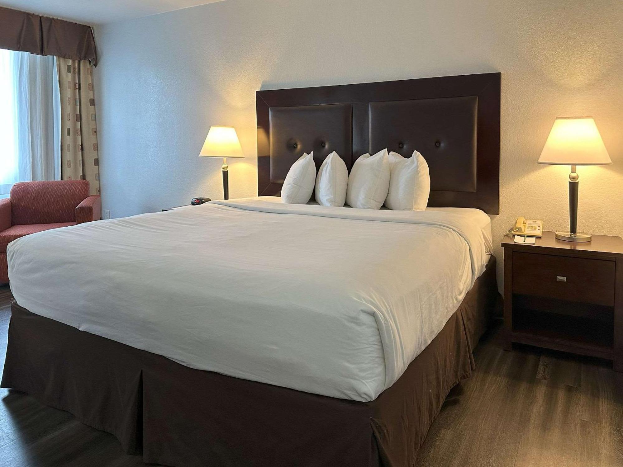 Quality Inn & Suites ايفرت المظهر الخارجي الصورة